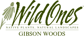 Wild Ones Gibson Woods