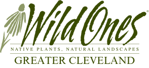 Wild Ones Greater Cleveland