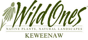 Wild Ones Keweenaw
