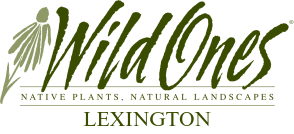 Wild Ones Lexington