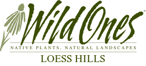 Wild Ones Loess Hills