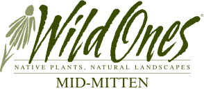 Wild Ones Mid-Mitten