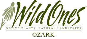 Wild Ones Ozark