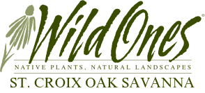 Wild Ones St. Croix Oak Savanna