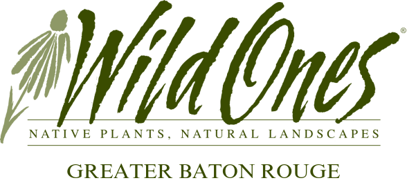 Wild Ones Greater Baton Rouge