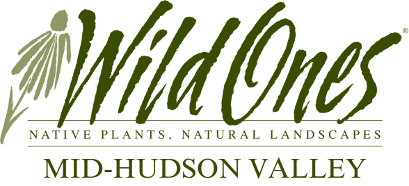 Wild Ones Mid-Hudson Valley (Seedling)